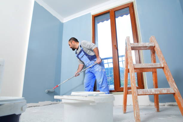 Best Mold Documentation for Insurance Claims  in Hillsboro, ND
