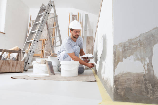 Best Environmental Consulting for Mold Prevention  in Hillsboro, ND