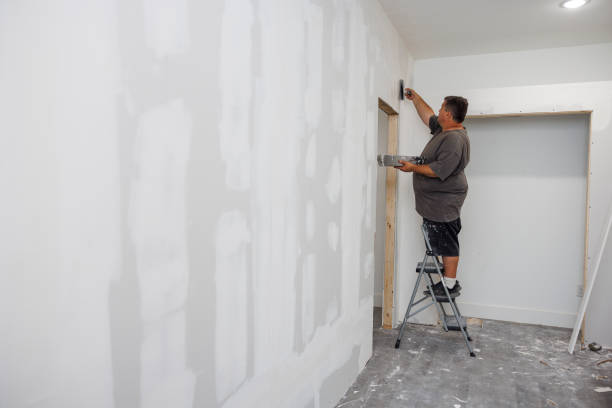 Best Attic Mold Removal  in Hillsboro, ND
